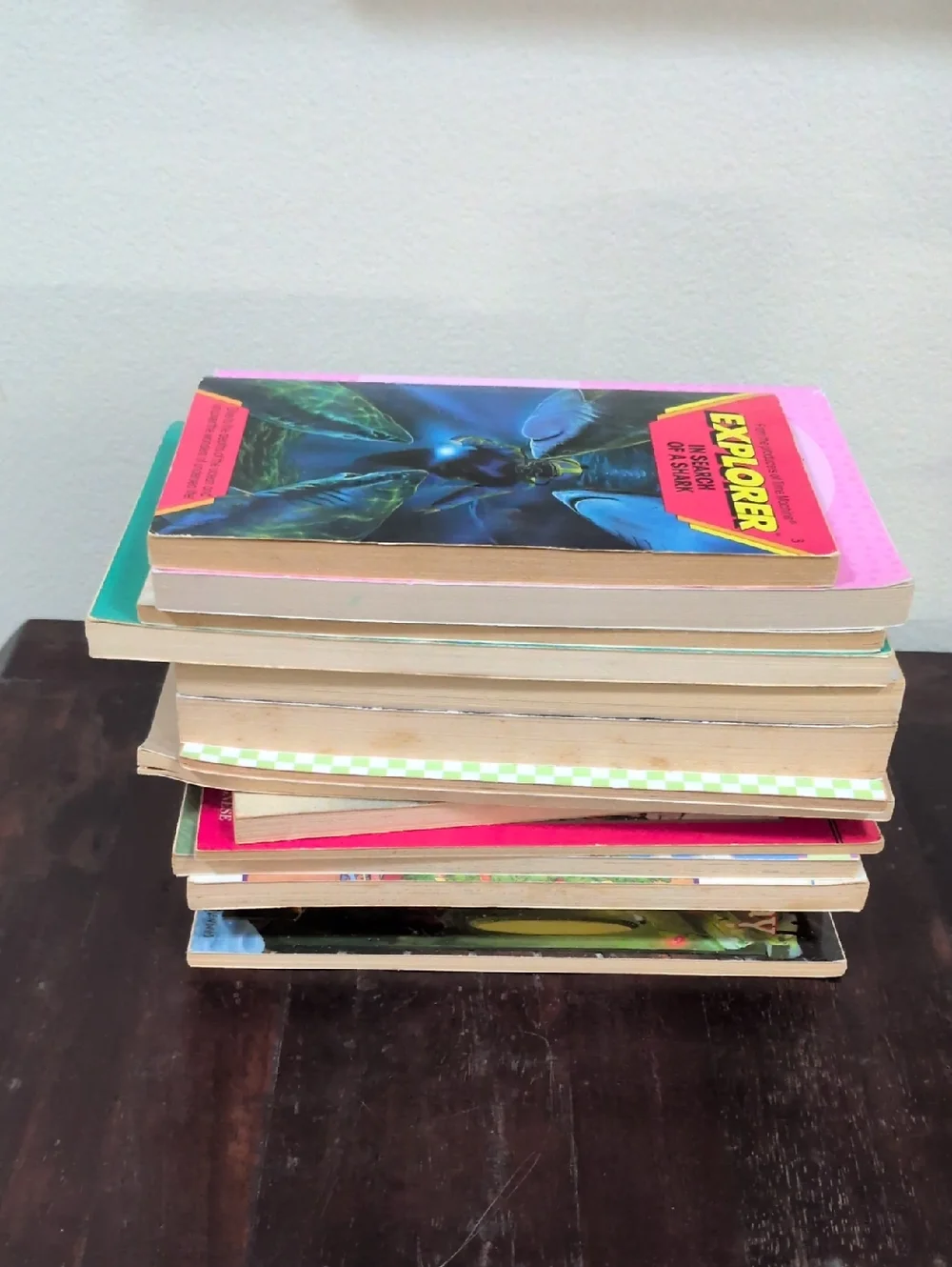 Scholastic Vintage Children's Paperback Fiction Chapter Books Lot of 14